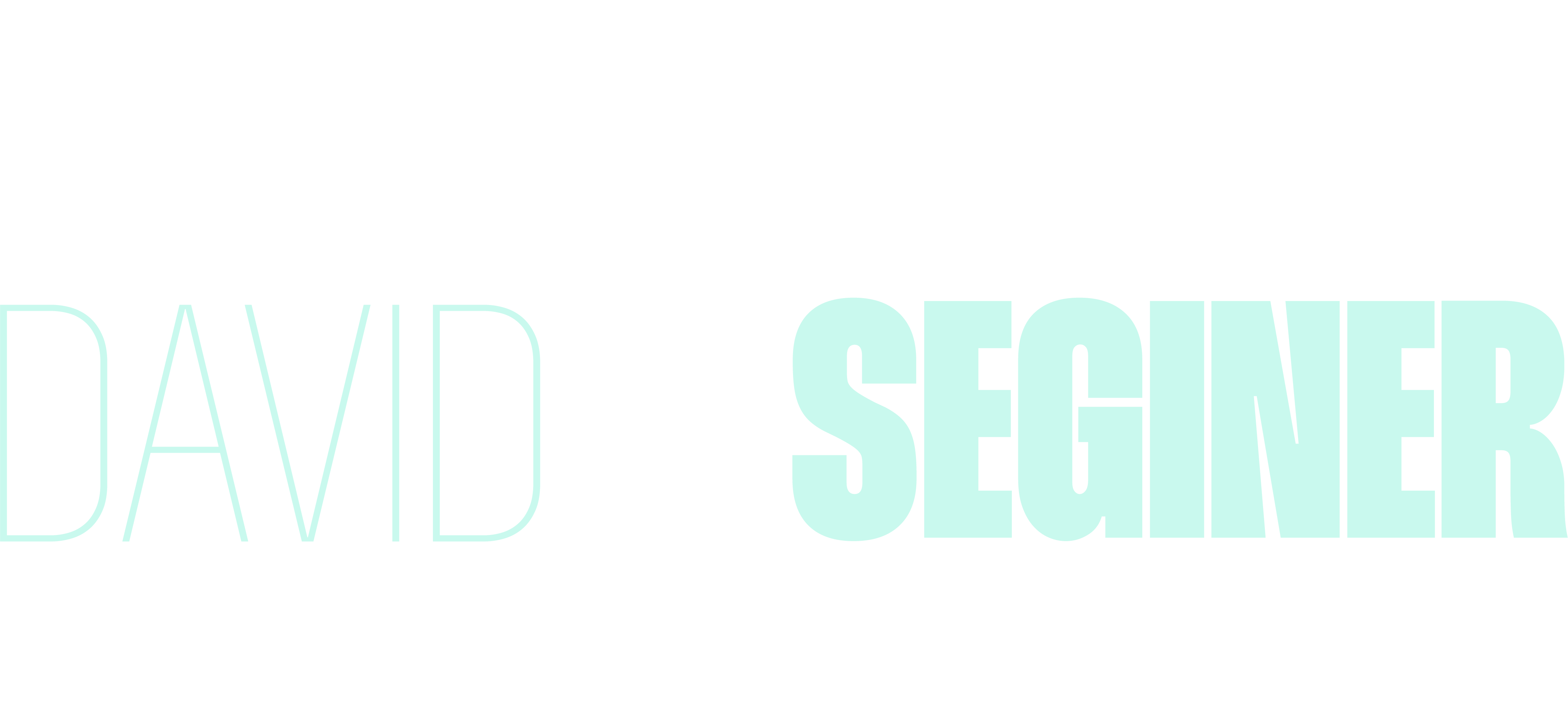 David Seginer Logo